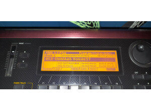 Korg Karma (95730)