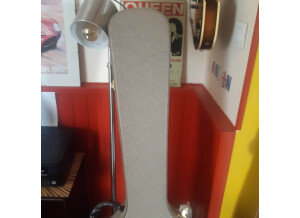 338629177 906925323852408 2355067027964865769 n