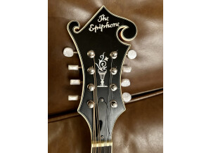 Epiphone MM-50E Professional