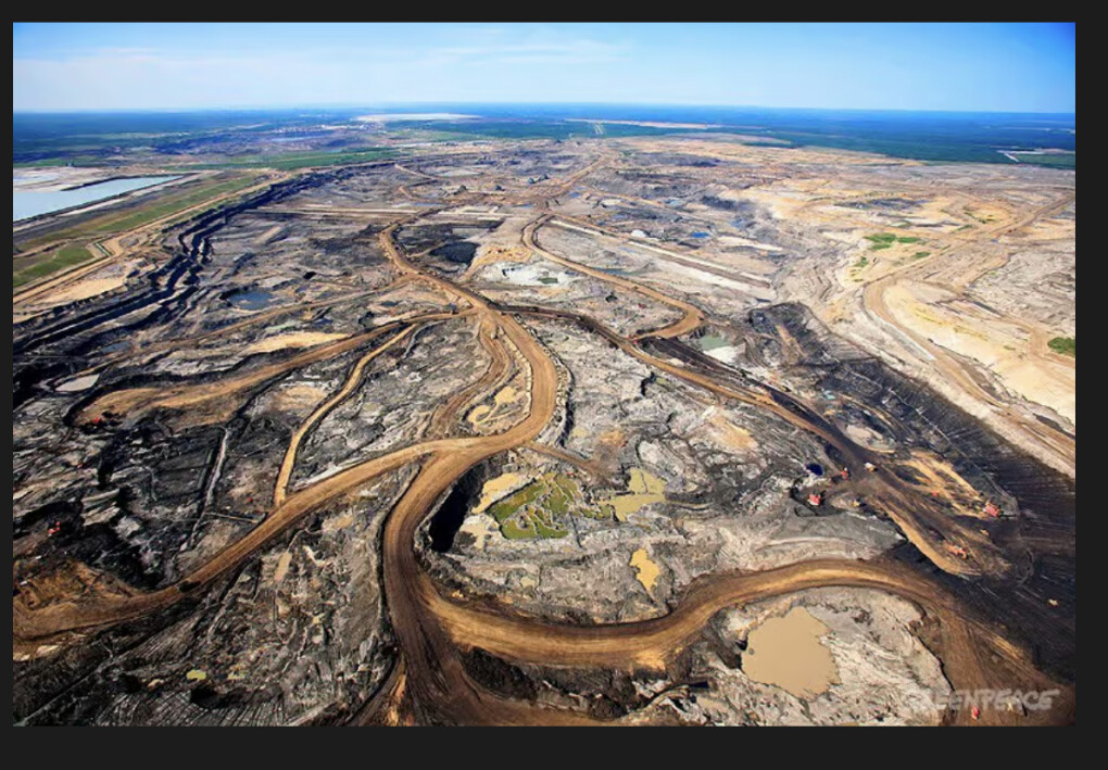 5648007.jpeg 5648007.jpeg