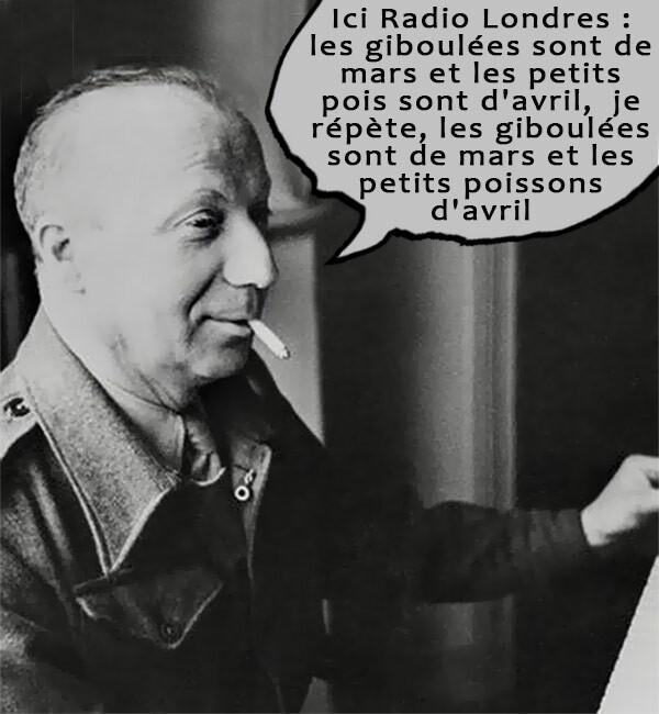 5648078.jpg 5648078.jpg