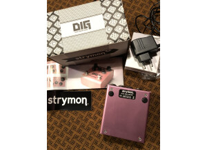 Strymon DIG (88020)