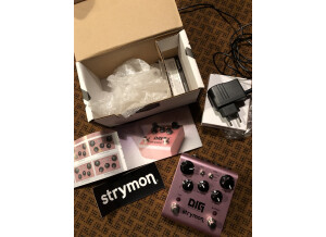 Strymon DIG (23129)