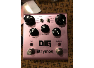 Strymon DIG (26810)