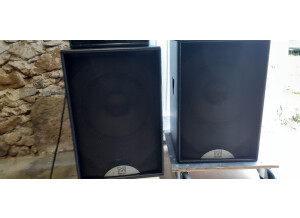 Martin Audio F12