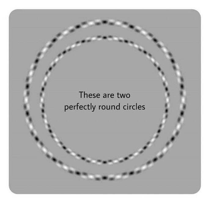 5649050.jpeg 5649050.jpeg