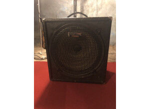 Polytone Mini Brute IV (23973)