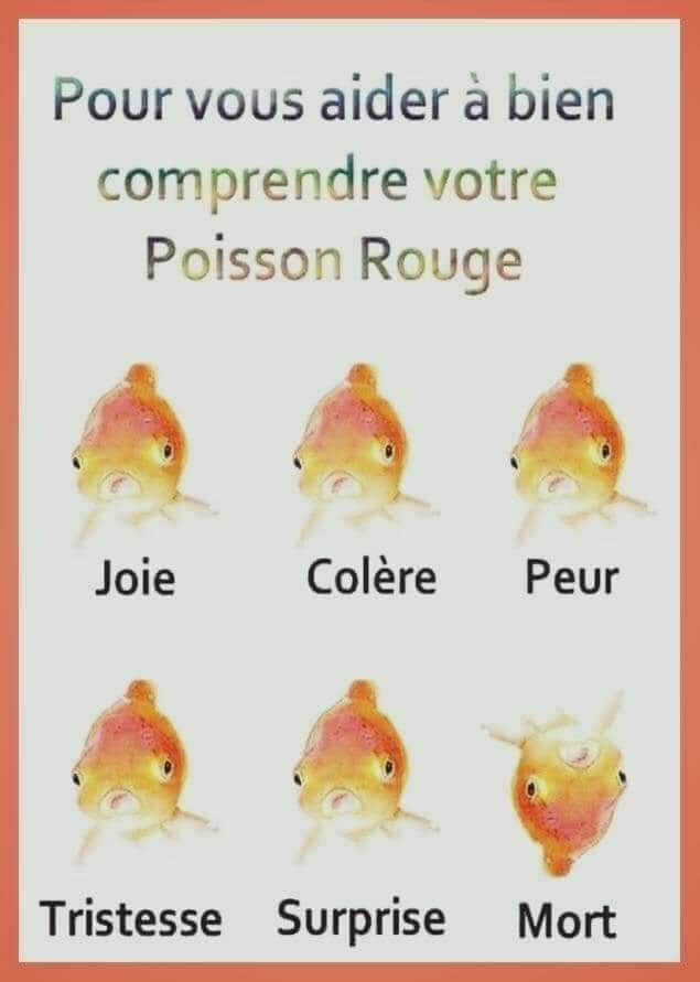 5649401.jpg 5649401.jpg