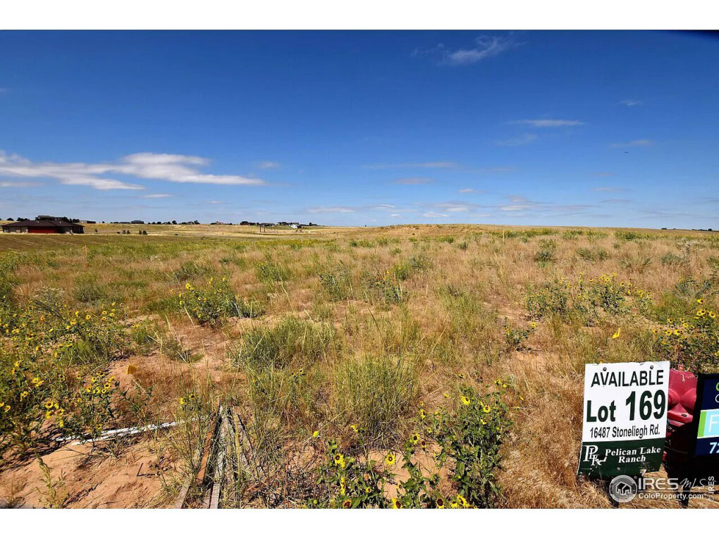 5650428.jpg 5650428.jpg