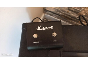 Marshall MG50DFX