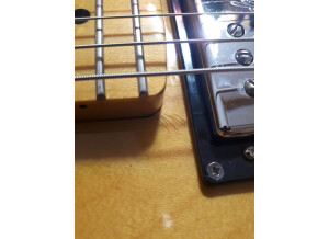 Fender Special Edition Starcaster Guitar (34687)