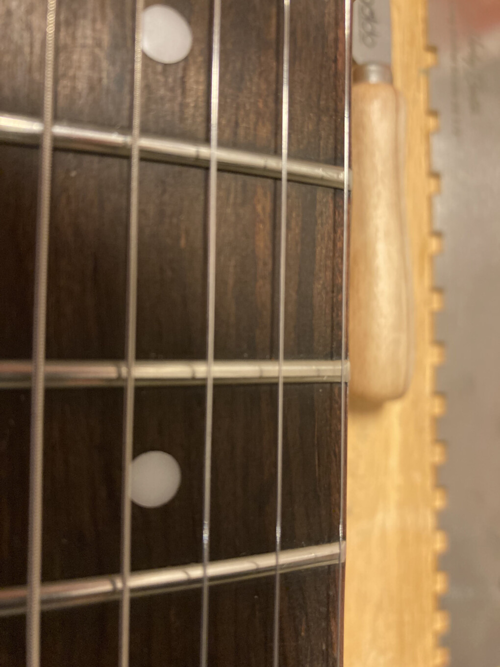 5651756.jpg 5651756.jpg