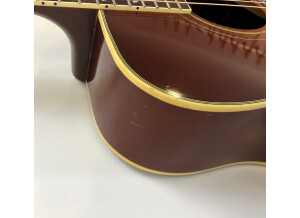 Gibson Hummingbird (24746)