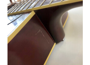 Gibson Hummingbird (4851)