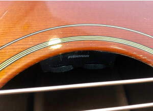 Gibson Hummingbird (64303)