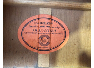 Gibson Hummingbird (88356)