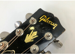 Gibson Hummingbird (44496)