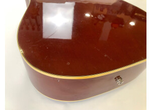 Gibson Hummingbird (76837)