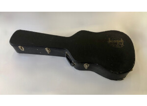Gibson Hummingbird (78881)