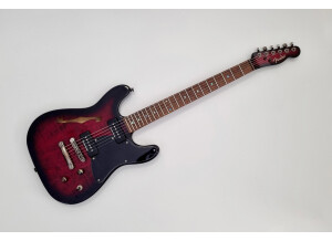Fender Special Edition TC-90 Thinline (2462)