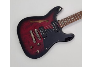 Fender Special Edition TC-90 Thinline (38301)