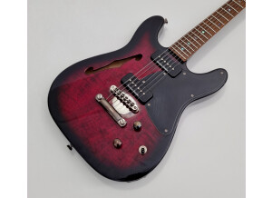 Fender Special Edition TC-90 Thinline (23480)