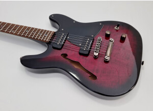 Fender Special Edition TC-90 Thinline (58691)