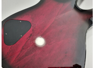 Fender Special Edition TC-90 Thinline (88329)