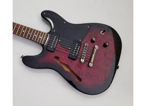 Fender Special Edition TC-90 Thinline (54084)