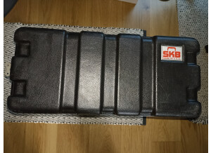 SKB Case 4U (83984)