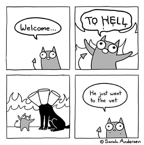 5653691.jpg 5653691.jpg