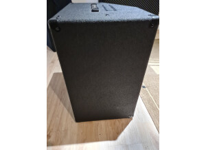 Ampeg BA-210 v2 (85482)