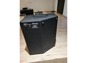 Ampeg BA-210 v2 (13232)