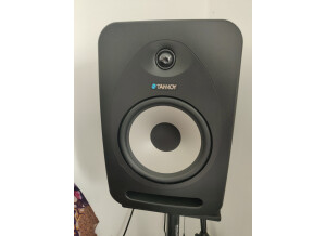 Tannoy Reveal 802 (13138)