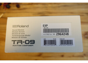 Roland TR-09 (9521)