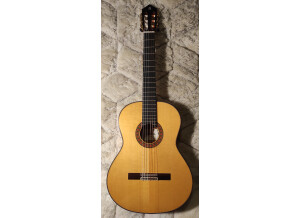 Alhambra Guitars 10 Fc