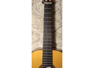 Alhambra Guitars 10 Fc