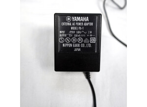 Yamaha RX21