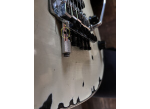 EVH D Tuna (3673)