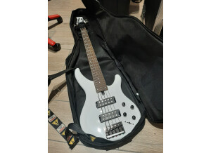 Yamaha TRBX305 (7951)