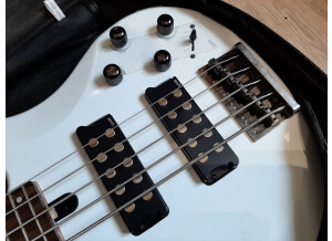 Yamaha TRBX305 (5878)