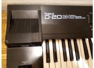 Roland D-20 (96128)