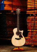 Taylor 814 ce Builder's Edition : 814 ce Builder's EditionBEAUTY Taylor 814 ce Builder's Edition : 814 ce Builder's EditionBEAUTY