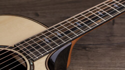 Taylor 814 ce Builder's Edition : 814 ce Builder's EditionNECK Taylor 814 ce Builder's Edition : 814 ce Builder's EditionNECK