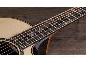 Taylor 814 ce Builder's Edition