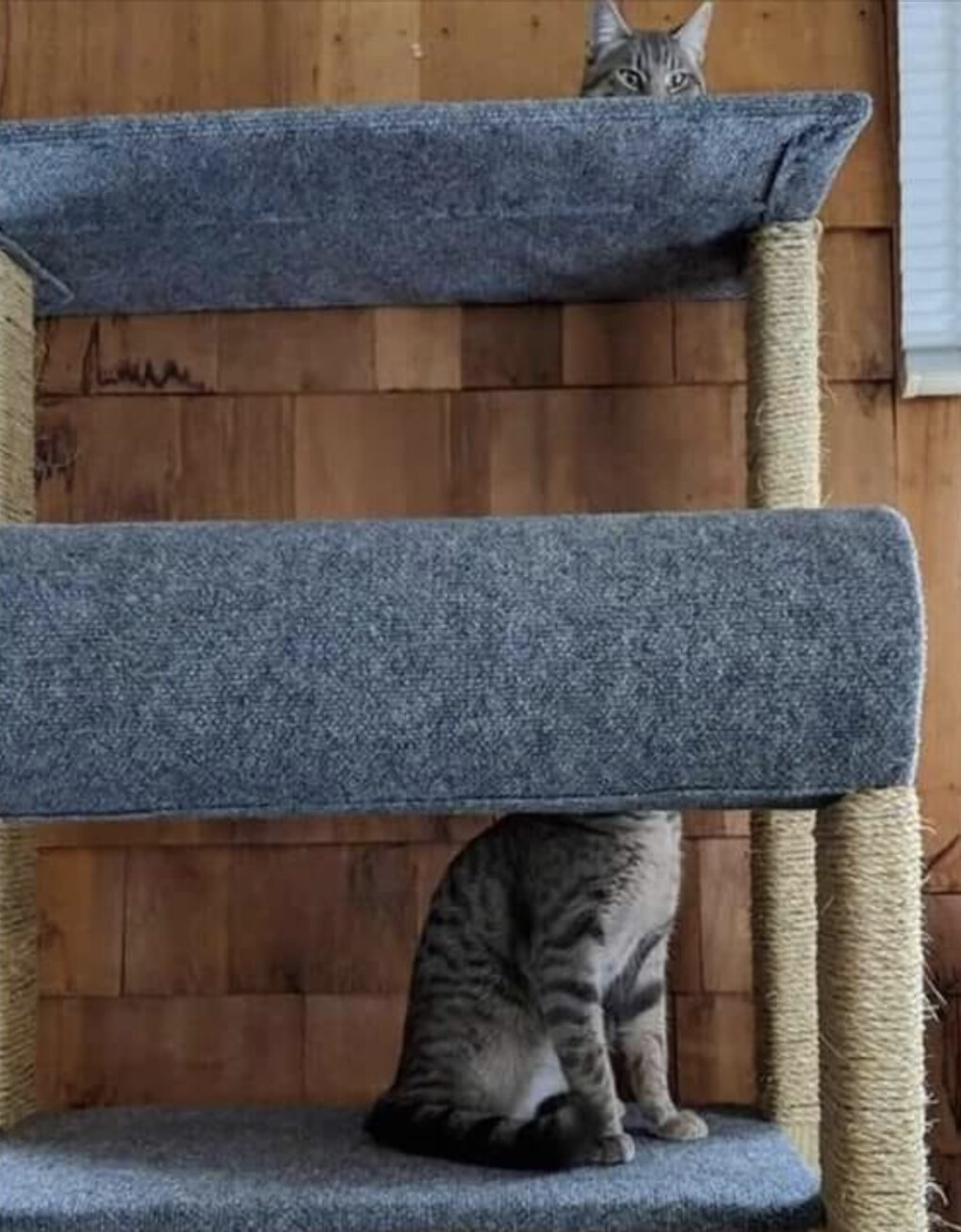 5659215.png 5659215.png