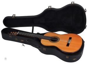 Alhambra Guitars 9 P