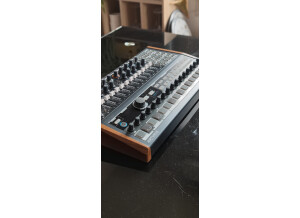 Arturia MiniBrute 2S (50090)