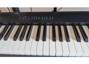 PXL 20230406 112148085(2)