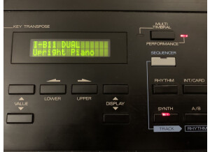 Roland D-20 (98975)